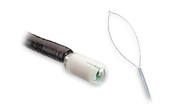 enteroscopy-and-capsule-delivery-devices